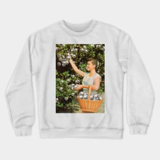 Disco Ball Grove Crewneck Sweatshirt